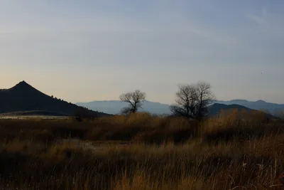 DSC_3069 (Large).JPG